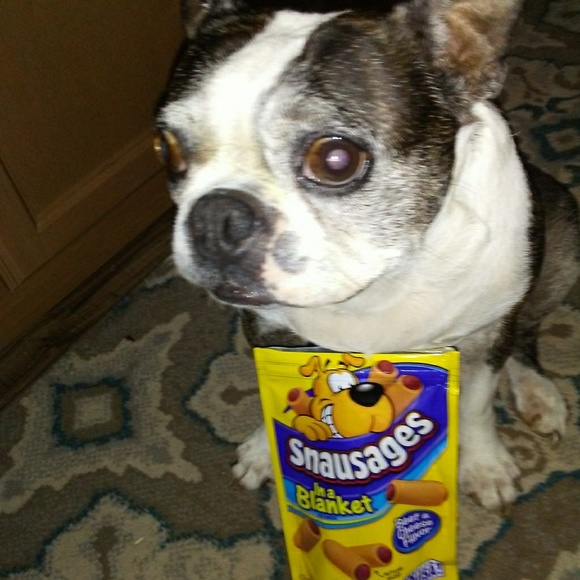 Meet your Posher, Leigh-Jay - Picture 6 of 7